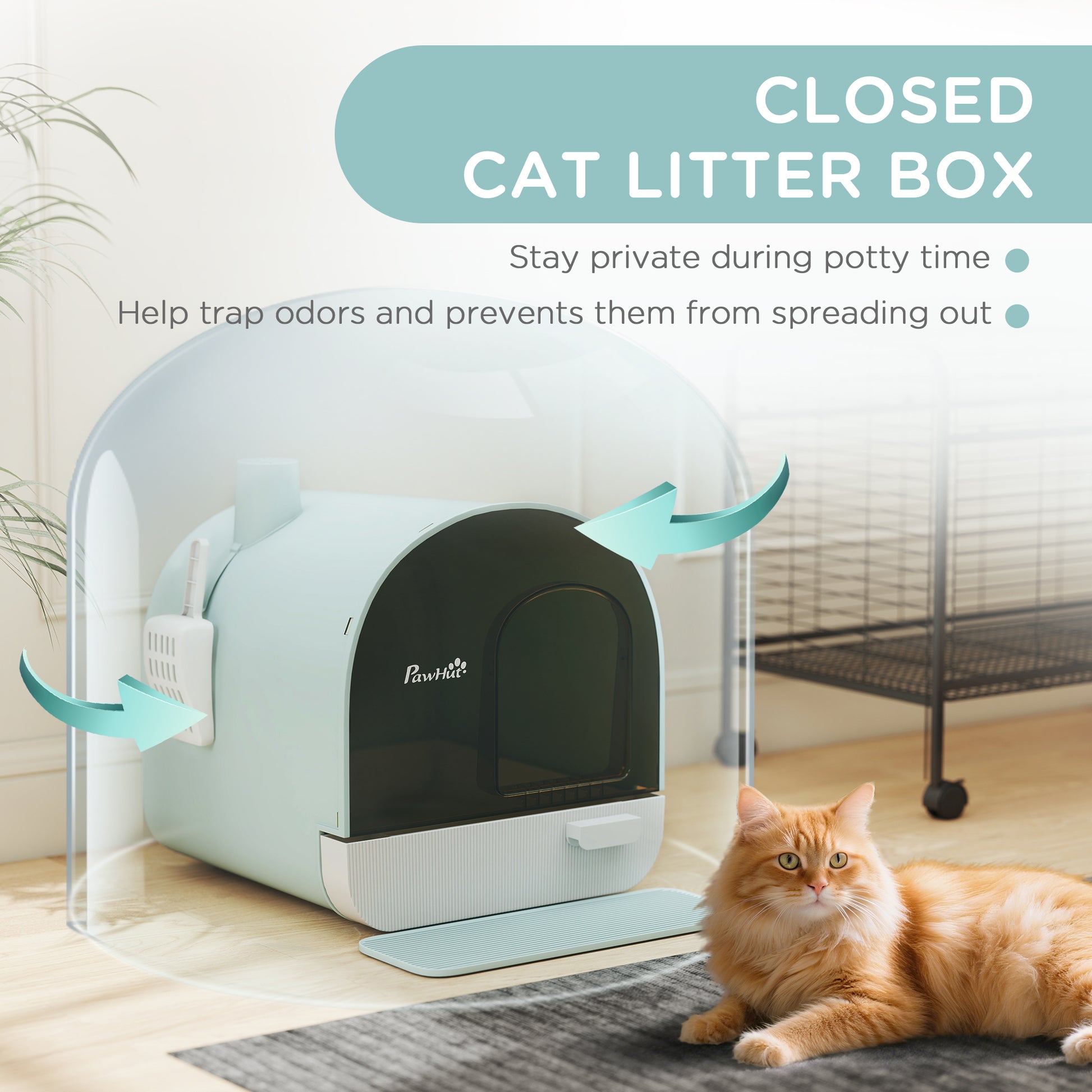 Cat Litter Box with Lid, Removable Tray, Scoop, Filter, Green