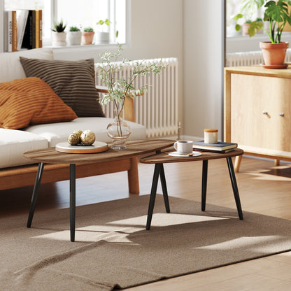 2 Pieces Coffee Table Set for Living Room, Industrial Nest of Tables with Steel Legs, Brown