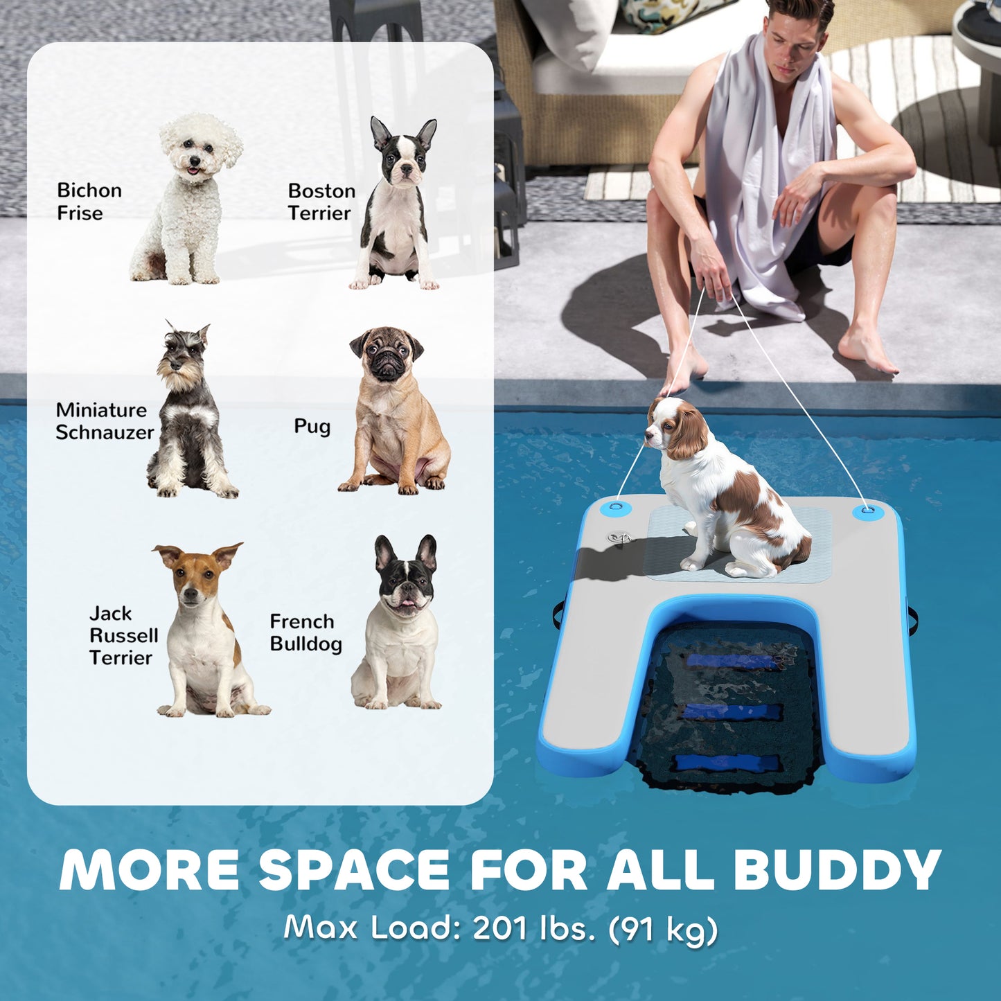 Floating Boat Ramp for Swimming Pets Up to 200 lbs, for Pool, Lake, Boat, Dock