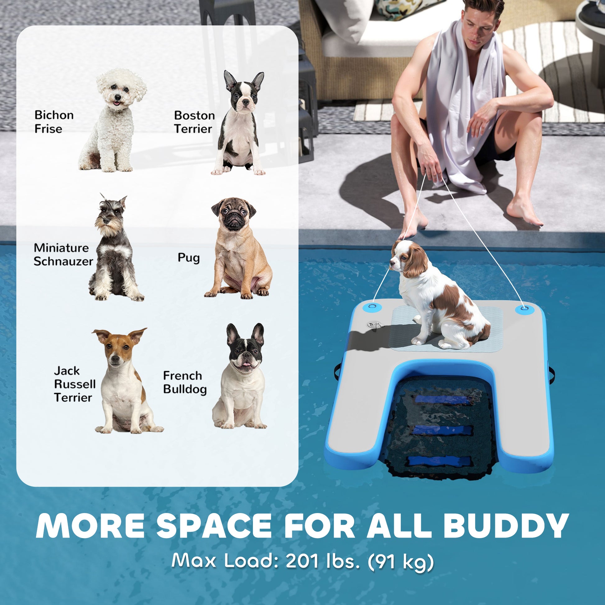 Floating Boat Ramp for Swimming Pets Up to 200 lbs, for Pool, Lake, Boat, Dock