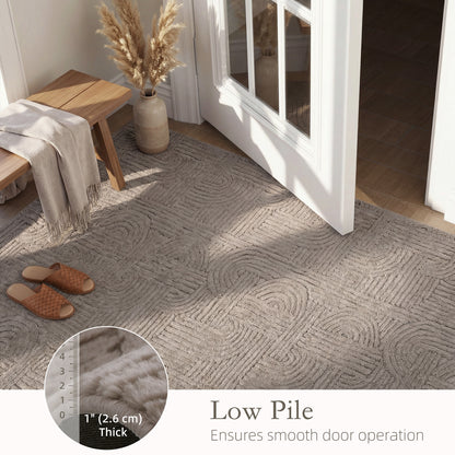 5x7 Area Rug, Luxurious Faux Fur Rug, Non-Slip Floor Carpet for Living Room, Bedroom, Dining Room, Tan
