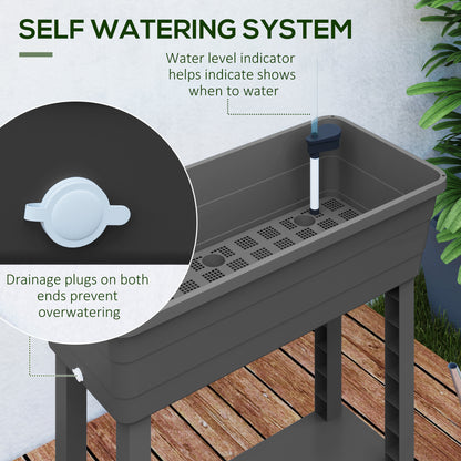 41L Self Watering Raised Garden Bed w/ Ventilation Transparent Lid Greenhouse, Planter Box w/ Storage Shelf, Dark Grey