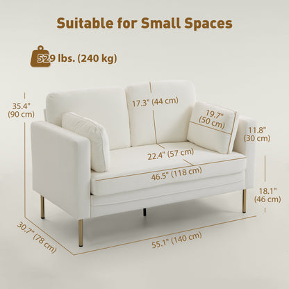 Loveseat Sofa, 55" Small Sofa Couch with 2 Pillows, Metal Legs for Living Room, Bedroom, Apartment, Cream White