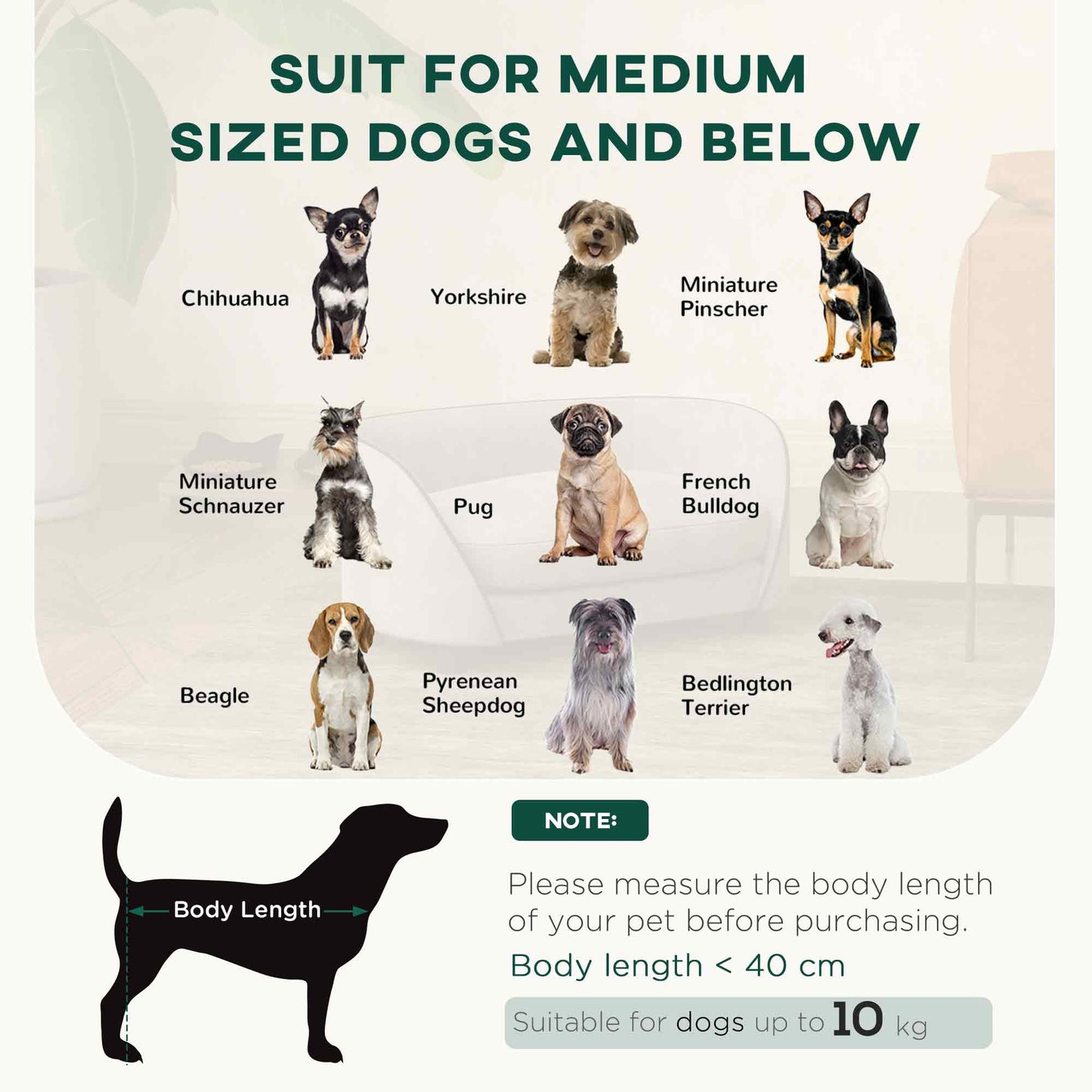 Pet Sofa Dog Couch for Small to Medium Sized Dogs with Soft Cushion, Removable Washable Cover, Velvet Touch, Grey