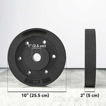 Soozier Weight Plates Set of 4, 1-Inch Barbell Weight Set for Home Gym Strength Training and Weightlifting, 4 x 11 lbs