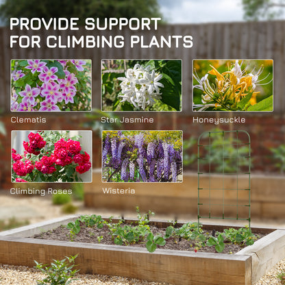 6-Piece Plant Support Set, Trellis for Climbing Plants, Garden Stakes, Steel, Green, 40 x 90 cm
