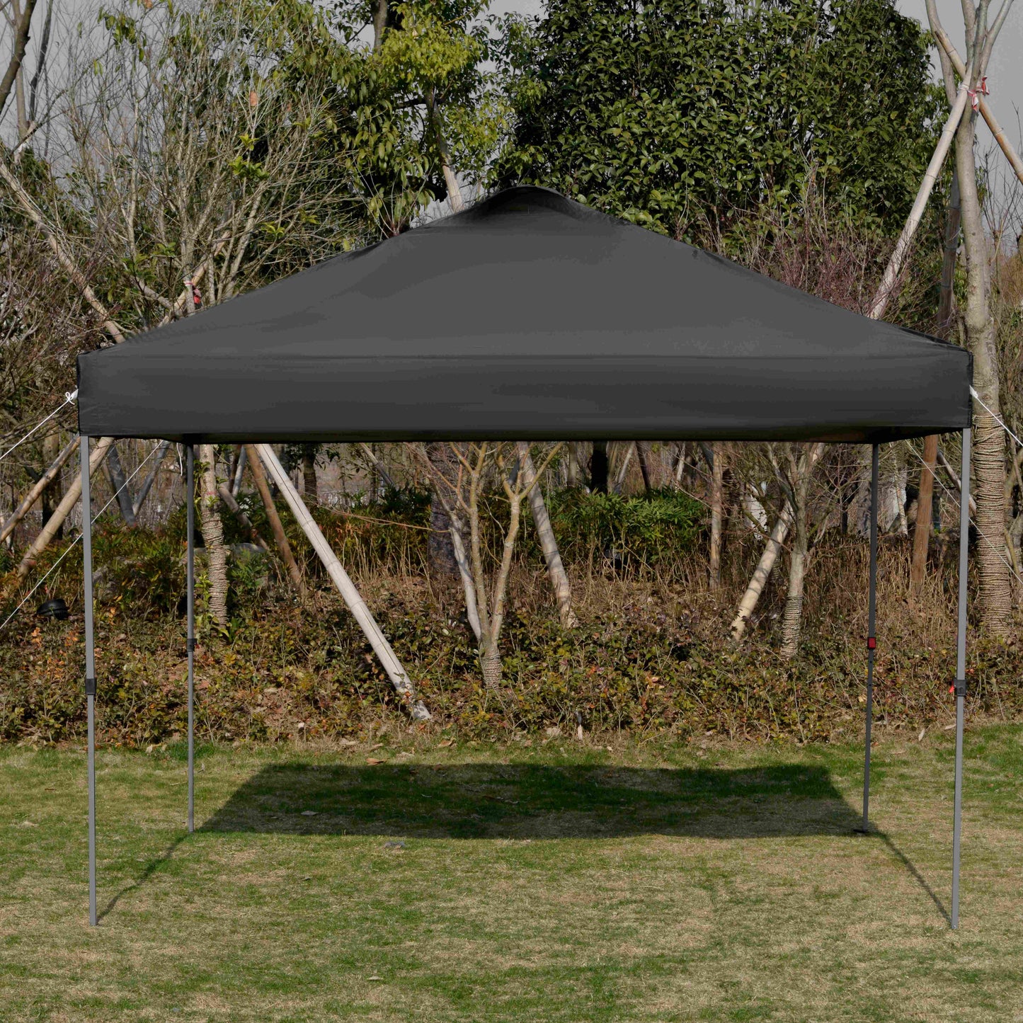 10' x 10' Pop Up Canopy Tent with Airy Top Vents and Wheeled Carry Bag for Outdoor, Garden, Patio, Black