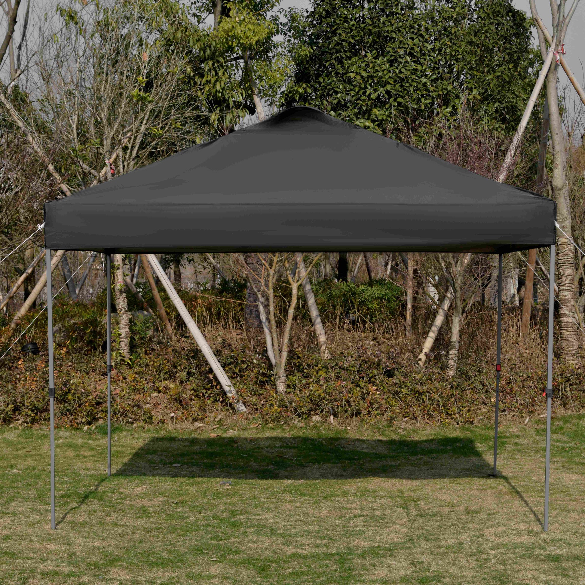 10' x 10' Pop Up Canopy Tent with Airy Top Vents and Wheeled Carry Bag for Outdoor, Garden, Patio, Black