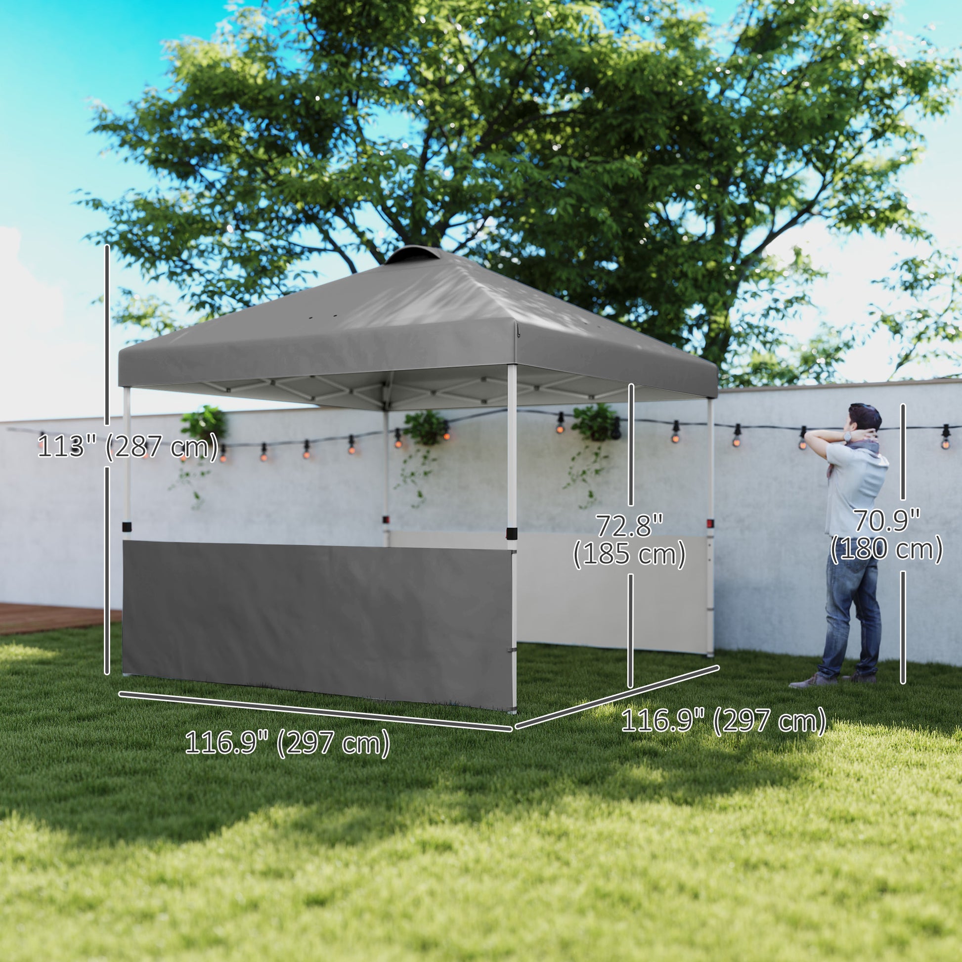 10' x 10' Pop Up Canopy Tent with 2 Half Sidewalls, UV50+ Height Adjustable Instant Sun Shelter, Dark Grey