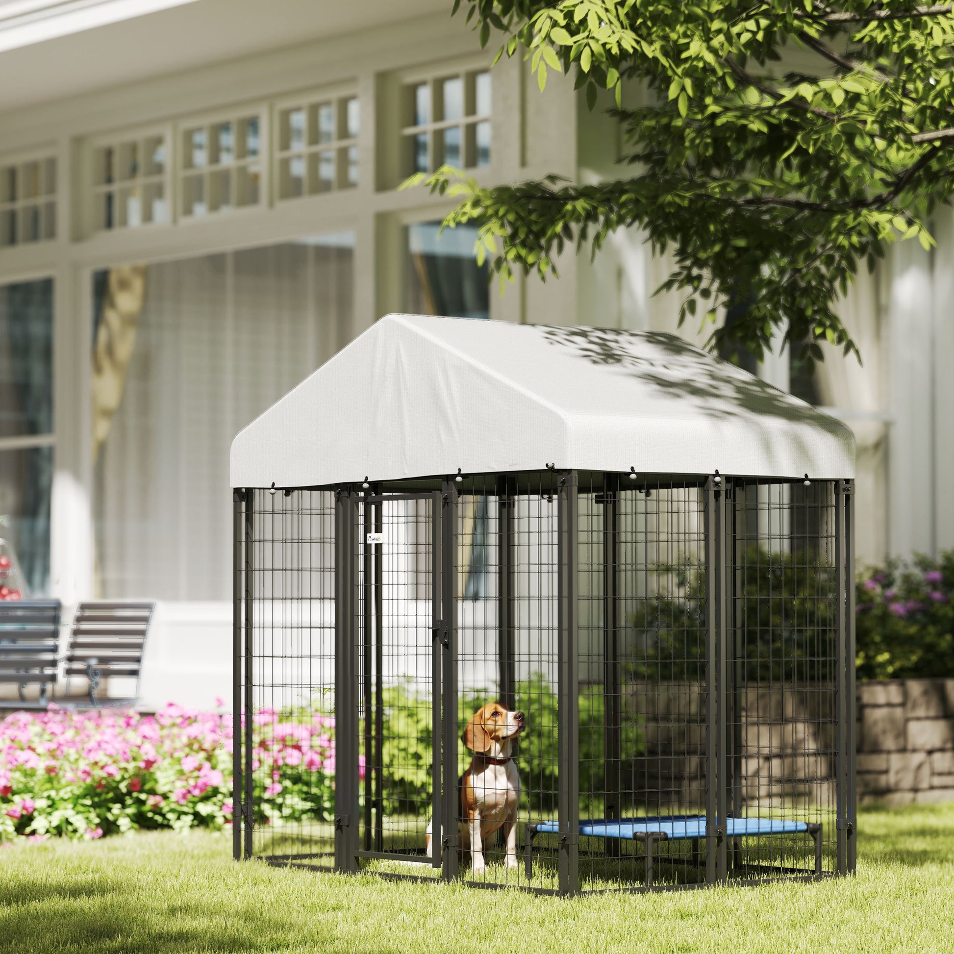 Outdoor Dog Kennel with Waterproof UV-Resistant Cover, 6 x 4 x 6 ft