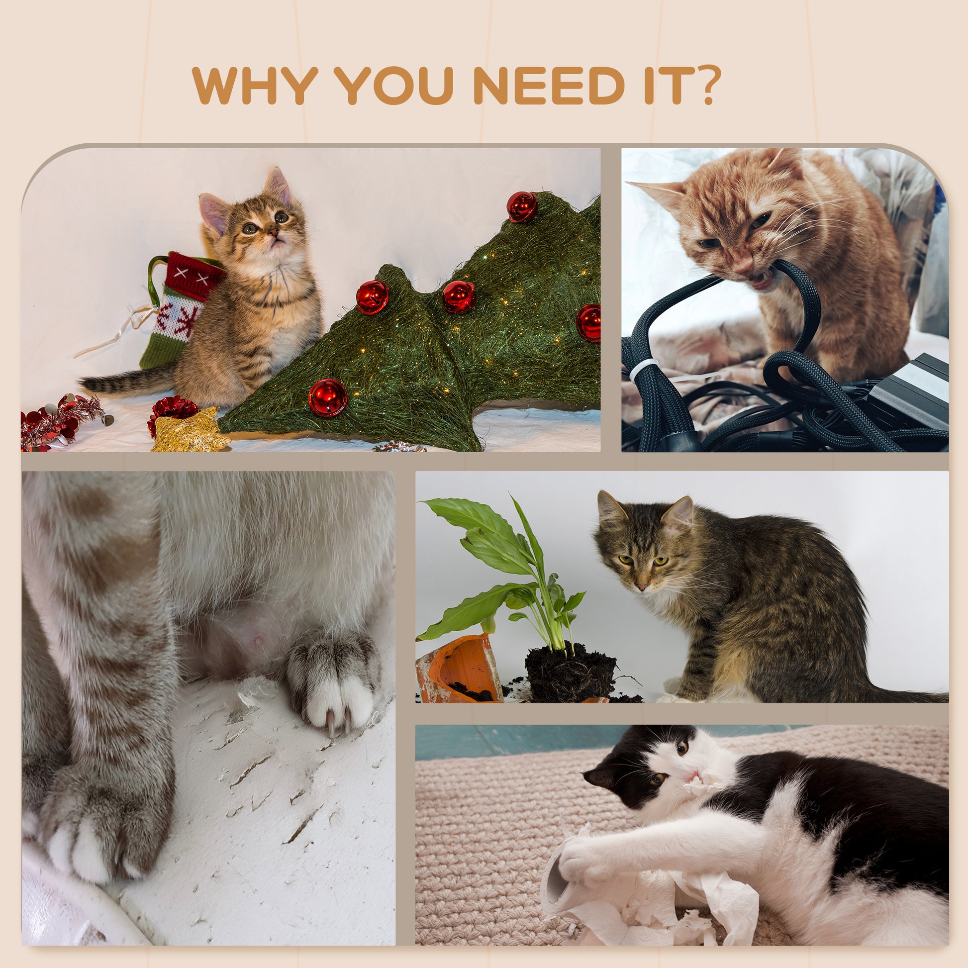 4PCs Cat Wall Shelves with Steps, Scratching Posts, Ladder, Platforms, Toy Balls