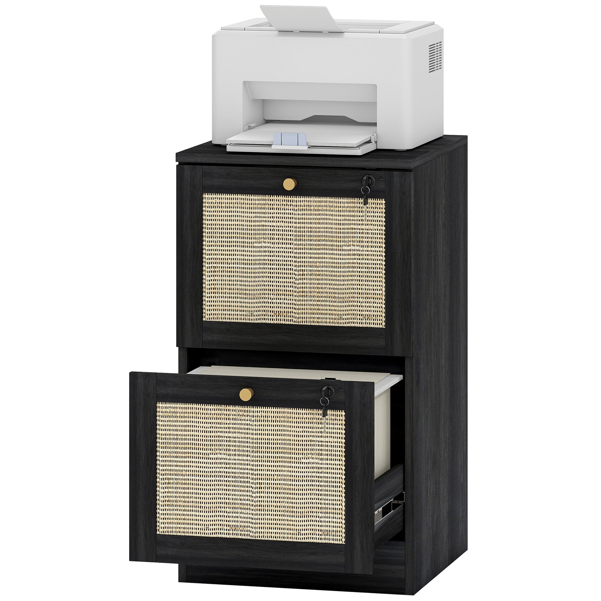 2 Drawer Filing Cabinet with Lock, Boho File Cabinet for A4 Letter Size Files with Decorative Rattan Accents, Black