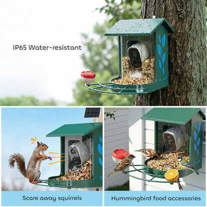 Smart Bird Feeder Camera Solar Powered with AI Identify 16000+ Birds, Auto Video Capture, Motion Detection