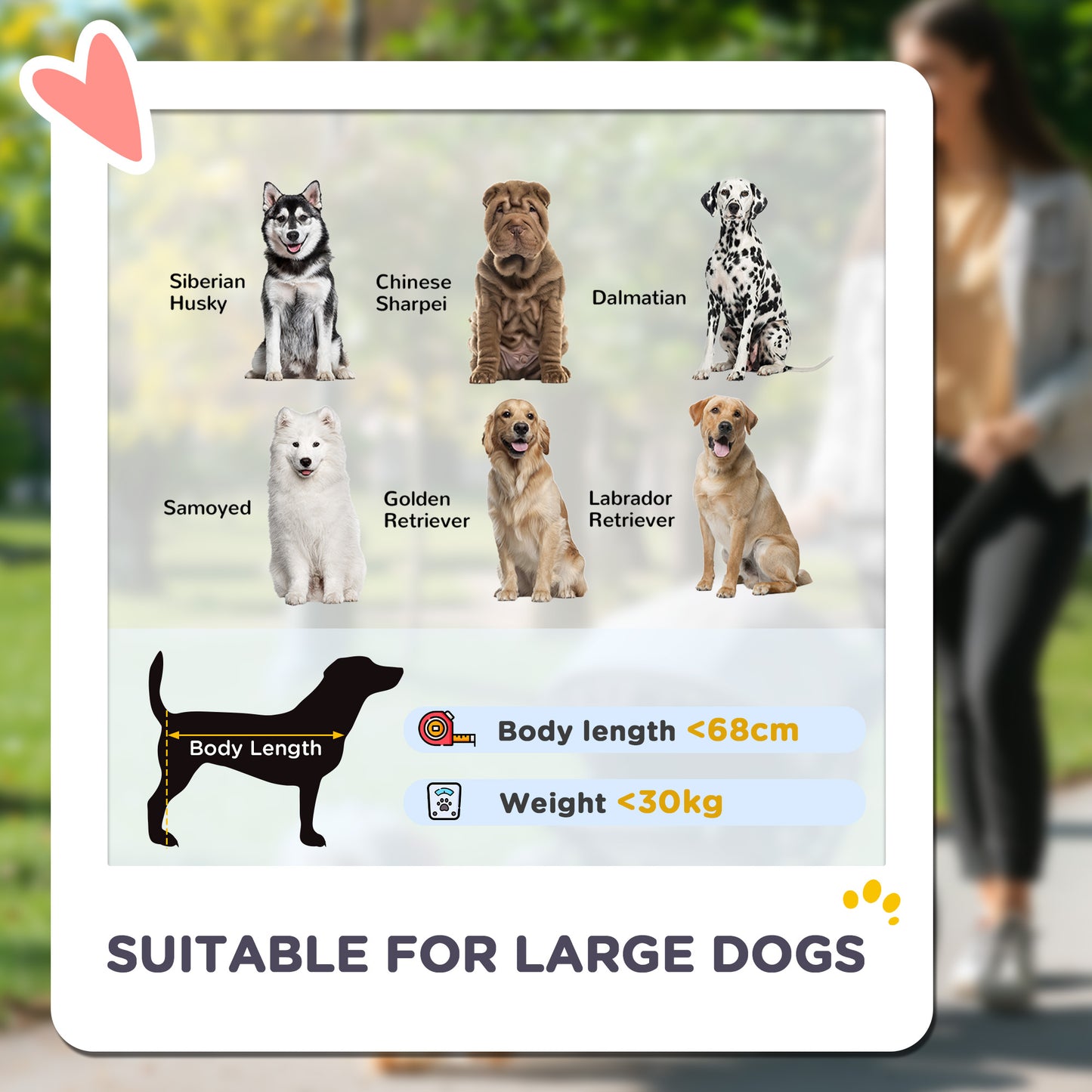 Foldable Pet Stroller for Large Dogs with Four Big Wheels, Shock-Absorbing Frame, Safety Leashes, Brakes, Dark Grey