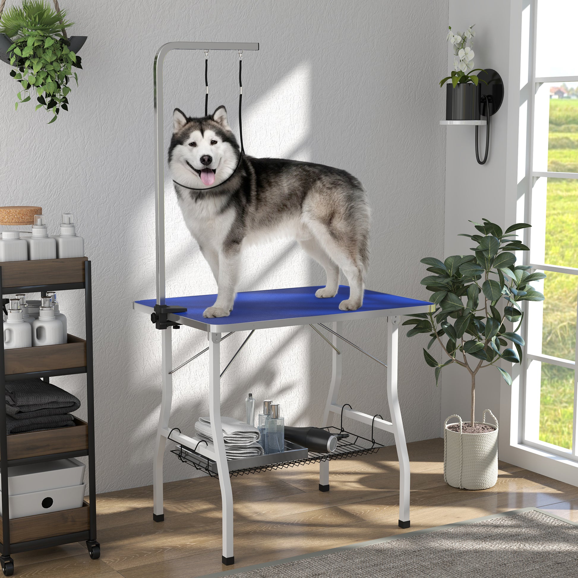 Dog Grooming Table w/ Adjustable Arm, Mesh Tray, Two Nooses, Rubber Surface, 35" x 24" x 61", Blue
