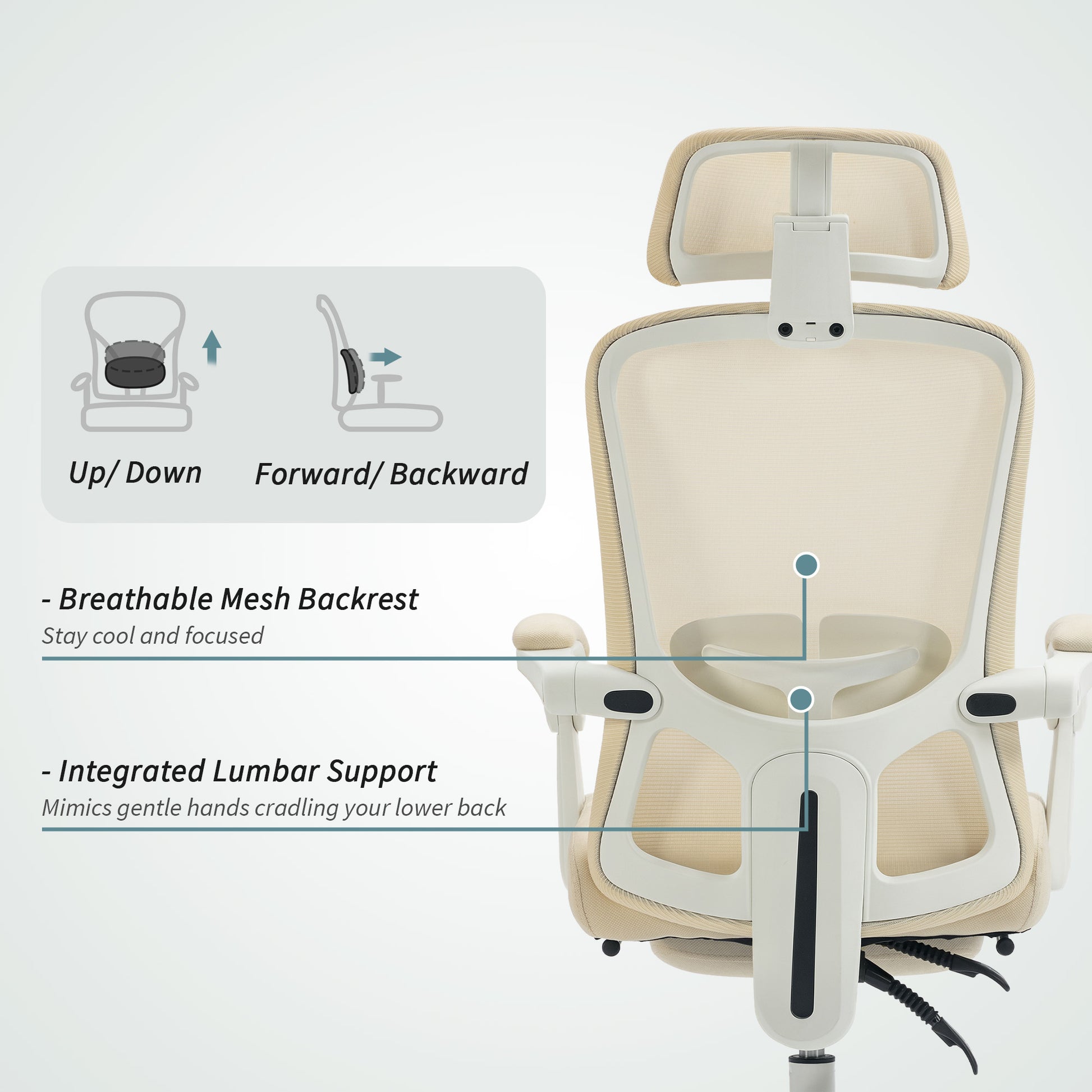 Ergonomic Office Chair, Mesh Reclining Desk Chair with Adjustable Lumbar Support, Headrest, Beige