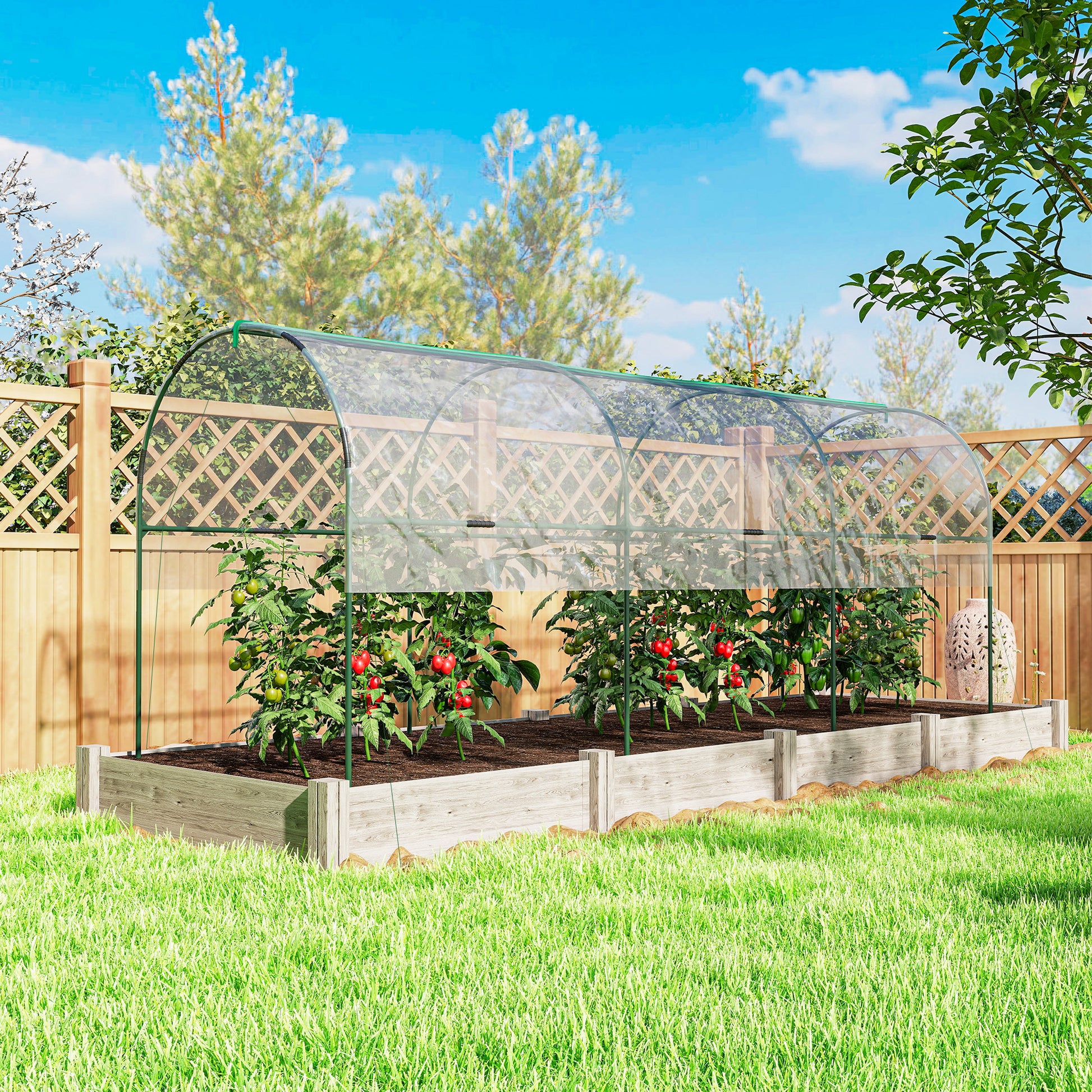 Tunnel Tomato Greenhouse with 4 Hoops and Top Tap, Pointed Bottom and Guy Ropes, 157.5" x 47.2" x 66.9", Clear