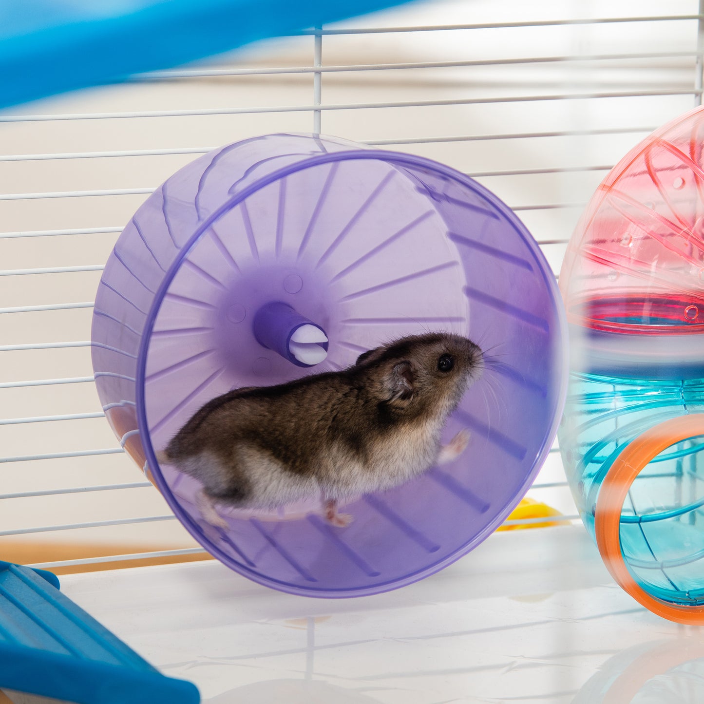 31" Large Hamster Cage, Small Animal House, Multi-storey Gerbil Haven, Tunnel Tube System, with Water Bottle, Exercise Wheel, Food Dish, Ramps, Black