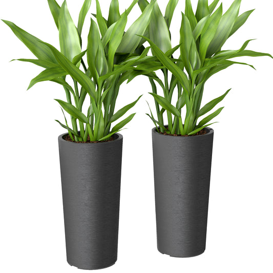 24" Tall Planters Set of 2, Indoor Outdoor Plastic Flower Pots with Inner Bucket and Drainage Holes, Dark Gray