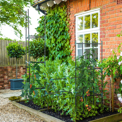 3 Pack Tomato Cage Set, 72 Inch DIY Tomato Plant Support Trellis, Tomato Trellis for Climbing Vegetables, Flowers and Fruits, Dark Green