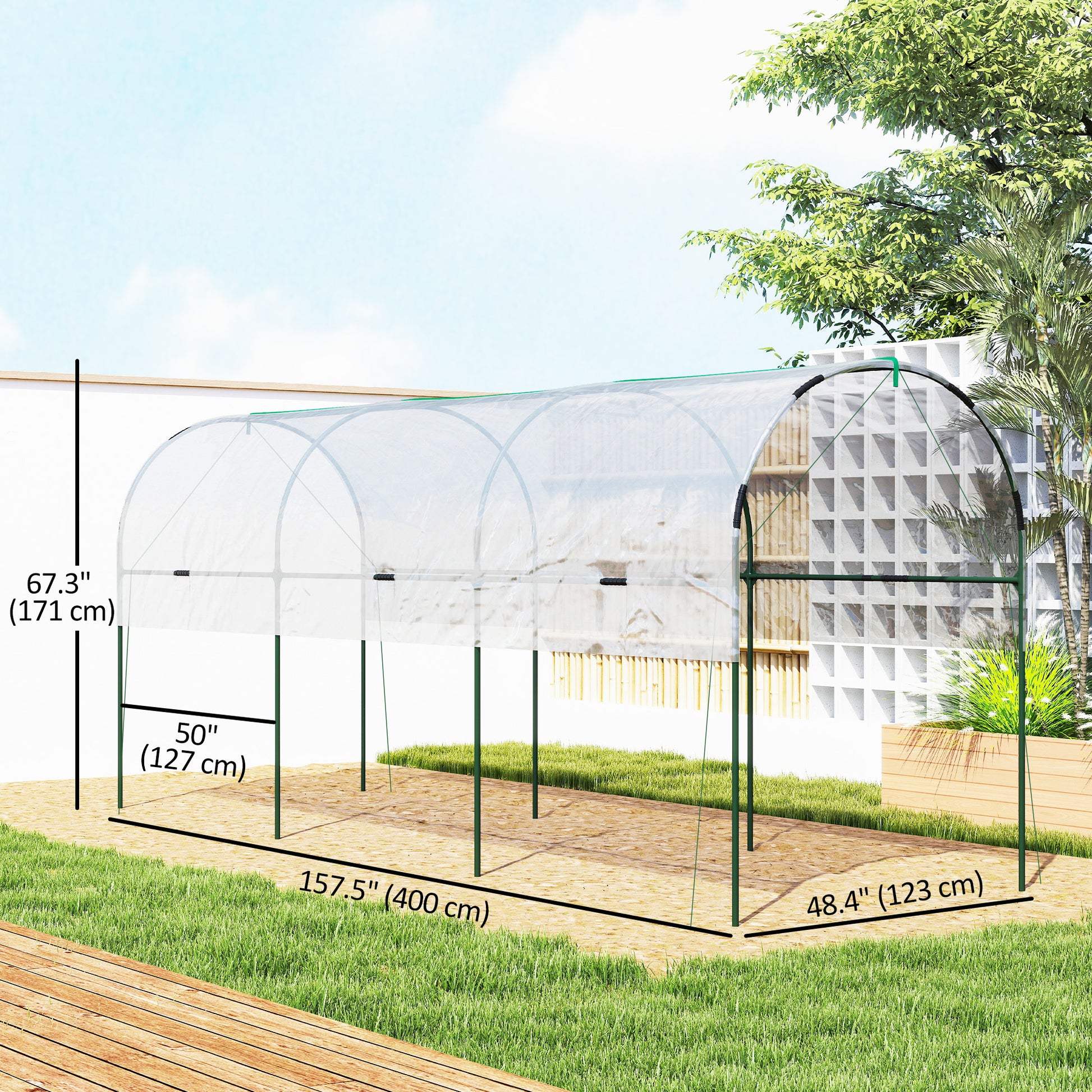 Tunnel Tomato Greenhouse with 4 Hoops and Top Tap, Pointed Bottom and Guy Ropes, 157.5" x 47.2" x 66.9", Clear