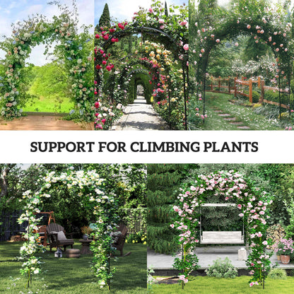 8FT Metal Garden Arch Trellis for Climbing Plants, Ceremony, Wedding Decoration, Black