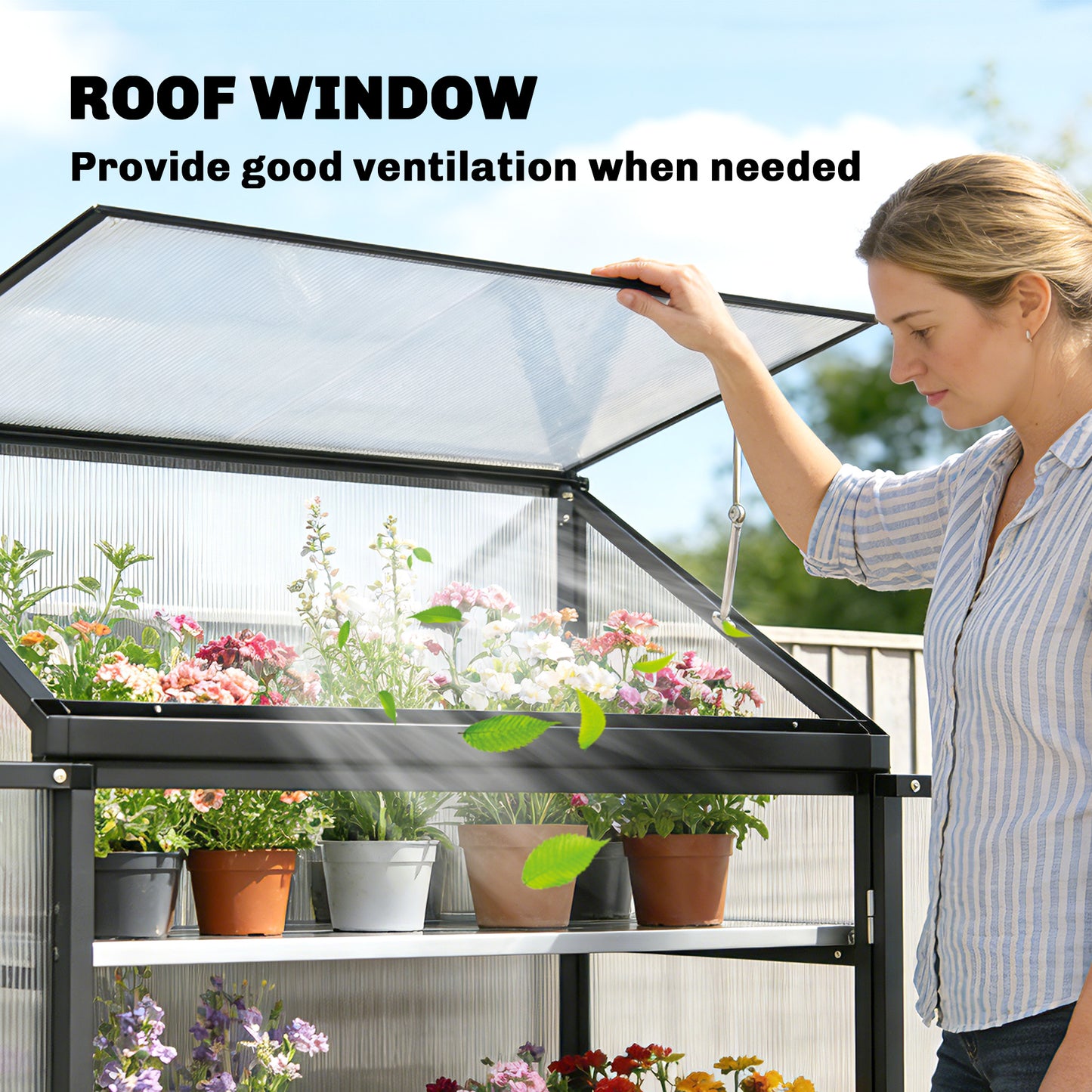 Polycarbonate Greenhouse with 2-Tier Shelves Gardening Green House for Patio Garden, Black