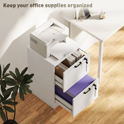 Vertical Filing Cabinet with 2 Drawers, Lock, File Cabinet for Home Office, A4 and Letter Size Files, White